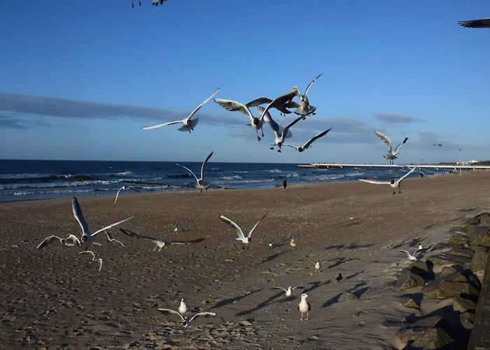 Ponitce Do Weza - * كولوبرزيغ